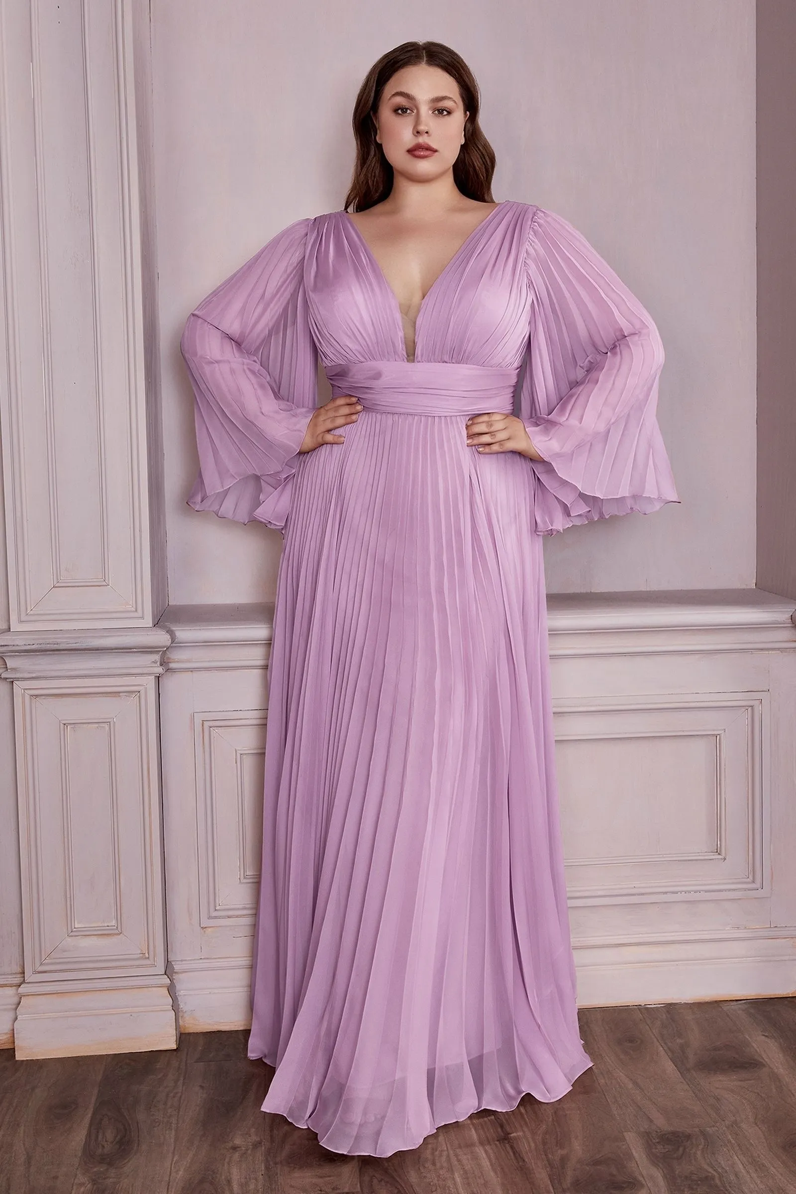 Chiffon Gown, Long Sleeve