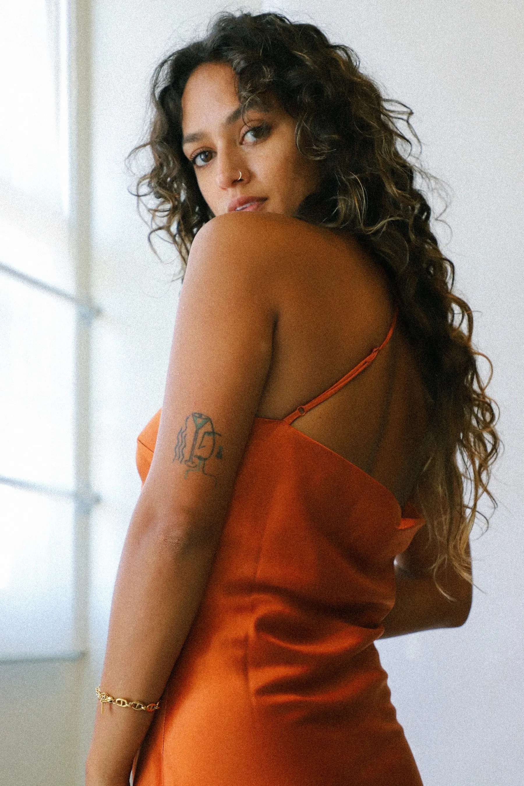 Rust Fiona Dress