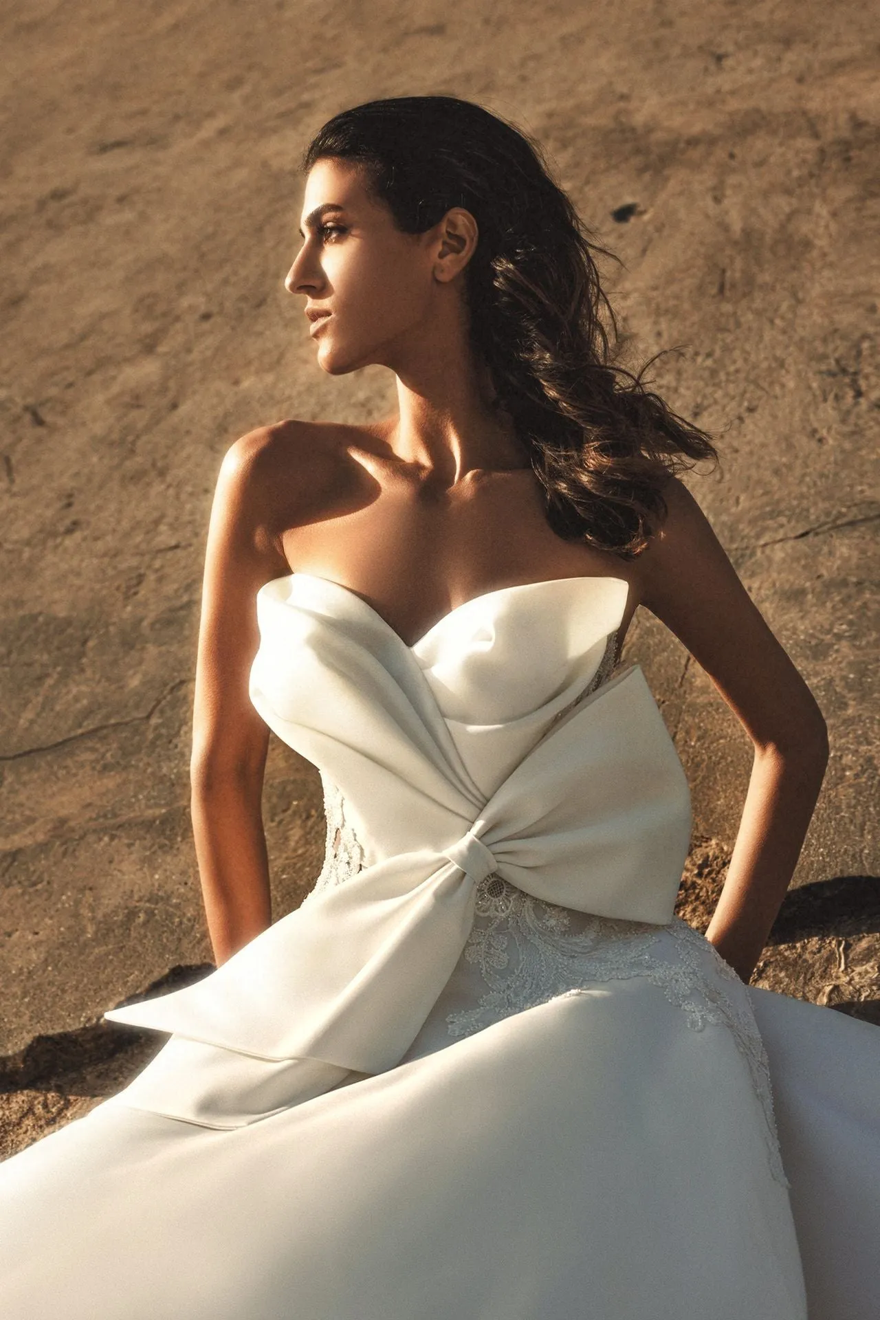 Strapless A-line Dress with Big Bow